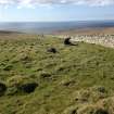 General shot of a partially excavated barrow.