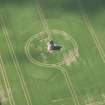 Oblique aerial view of Auchmacoy Dovecot, looking to the S.