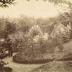 Dalmore House gardens. From family album of Mr K Montgomerie. Survey of Private Collection