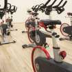 Interior. View of "spin'' class bikes within former squash court.