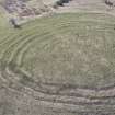Oblique aerial view of Corsehope Rings, looking SSE.