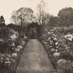 'Old garden at Pinkie burn'.

