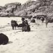 View of a group of Highland cattle on Kiloran Beach, Colonsay.
Titled: '63. Highland Cattle at Kiloran. 1869.'
PHOTOGRAPH ALBUM NO 186: J B MACKENZIE ALBUMS vol.1