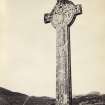 View of face of carved stone medieval 'memorial' cross, known as 'MacMillan's Cross', at Kilmory Chapel, or St Maelrubha's Chapel, Kilmory, South Knapdale.
Titled: '120. Mc Millan's Cross. Kilmory.'
PHOTOGRAPH ALBUM NO 186: J B MACKENZIE ALBUMS vol.1