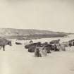 View of cattle herd on Kiloran Beach, Colonsay, Argyll.
The image has been given the title '130'.
PHOTOGRAPH ALBUM No. 187, (cf PAs 186 and 188) Rev. J.B. MacKenzie of Colonsay Albums,1870, vol.2."