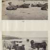 View of two photographs entitled '131 and 132'. Both images are of a Highland cattle herd at Kiloran Bay, Colonsay, Argyll.
PHOTOGRAPH ALBUM No. 187, (cf PAs 186 and 188) Rev. J.B. MacKenzie of Colonsay Albums,1870, vol.2.
