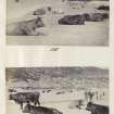 View of two photographs entitled '135 and 136'. Both images are of a Highland cattle herd at Kiloran Bay, Colonsay, Argyll.
PHOTOGRAPH ALBUM No. 187, (cf PAs 186 and 188) Rev. J.B. MacKenzie of Colonsay Albums,1870, vol.2.
