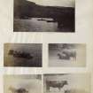 View of five photographs, four are of highland cattle, possible in Taymouth Park but location is unidentified. The upper central image is of Kenmore Pier, Loch Tay, Perth.
PHOTOGRAPH ALBUM No. 187, (cf PAs 186 and 188) Rev. J.B. MacKenzie of Colonsay Albums,1870, vol.2.

