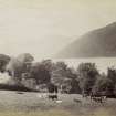 View of a herd of cattle in a field situated in the foreground, with Kenmore manse visible behind and with Loch Tay in the background, Kenmore, Perth. 
PHOTOGRAPH ALBUM No. 187, (cf PAs 186 and 188) Rev. J.B. MacKenzie of Colonsay Albums,1870, vol.2.
