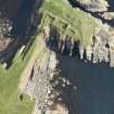Oblique aerial view of Bucholly Castle, looking NE.