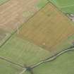 Oblique aerial view of the cropmarks of the enclosure and quarry pit at Plump, looking S.