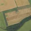 Oblique aerial view of the cropmarks of the fort at Gars Hill, looking SE.