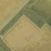 Oblique aerial view of the cropmarks of the enclosures and field boundaries at Dalruscan, looking NE.