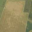 Oblique aerial view of the cropmarks of the enclosures and field boundaries at Dalruscan, looking N.