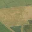 Oblique aerial view of the cropmarks of the enclosures and field boundaries at Dalruscan, looking W.