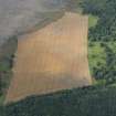 Oblique aerial view of the cropmarks of the enclosures and the remainsof the fish trap, looking WSW.