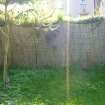 Exterior view showing boundary fence, from a Standing Building Survey, Glamis Mill, Glamis, Angus.