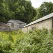 General view of out buildings from North, Dalmore Mill/former Heron's Mill (extreme left), sawmill (roof partially collapsed), Office and Packing Shed (right).