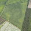 Oblique aerial view of the cropmarks of the ring ditch and rig at Rossie Drain, looking NW.