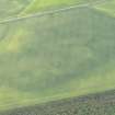 Oblique aerial view of the cropmarks of the ring ditch and rig at Rossie Drain, looking SW.