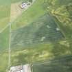 Oblique aerial view of the cropmarks of the pits, field boundaries and possible farmstead, looking NNE.