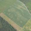 Oblique aerial view of the cropmarks of the enclosures and souterrains, looking NW.