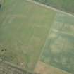 Oblique aerial view of the cropmarks of the enclosures and souterrains, looking NNW.