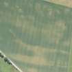 Oblique aerial view of the cropmarks of the enclosures and souterrains, looking SE.