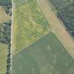 Oblique aerial view of the cropmarks of the enclosure, looking E.