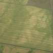 Oblique aerial view of the cropmarks of the settlement enclosure and the possible round house, looking SW.