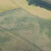 Oblique aerial view of the cropmarks of the fort at The Chesters, Spott, looking S.