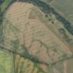 Oblique aerial view of the cropmarks of the forts on Doon Hill, looking W.