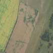 Oblique aerial view of the cropmarks of the settlement, looking W.