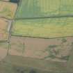 Oblique aerial view of the cropmarks of the settlement, looking SSE.