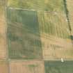 Oblique aerial view of the cropmarks of the enclosures, pits and rig, looking WNW.