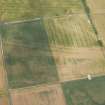 Oblique aerial view of the cropmarks of the enclosures, pits and rig, looking NNW.