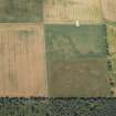 Oblique aerial view of the cropmarks of the enclosure, pits and rig, looking NNW.
