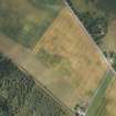 Oblique aerial view of the cropmarks of the enclosure, looking WNW.