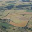 Oblique aerial view of the cropmarks of the cursus, barrows, enclosure and ring ditches, looking S.