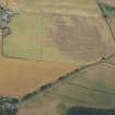 Oblique aerial view of the cropmarks of the cursus, barrows, enclosure and ring ditches, looking SE.