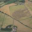 Oblique aerial view of the cropmarks of the cursus, barrows, enclosure, ring ditches and rig, looking E.
