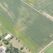 Oblique aerial view of the cropmarks of the unenclosed settlement settlement at Congalton, looking SE.