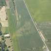 Oblique aerial view of the cropmarks of the settlements, unenclosed houses and pit alignment at Congalton, looking E.