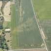 Oblique aerial view of the cropmarks of the settlements, unenclosed houses and pit alignment at Congalton, looking E.