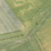 Oblique aerial view of the cropmarks of the settlement and the unenclosed houses at Congalton, looking NE.