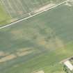 Oblique aerial view of the cropmarks of the unenclosed houses and ring ditch, looking SSW.