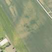 Oblique aerial view of the cropmarks of the unenclosed houses and ring ditch, looking SSE.