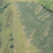 Oblique aerial view of the cropmarks of the forts on Doon Hill, looking NE.