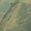 Oblique aerial view of the cropmarks of the forts on Doon Hill, looking N.