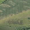 Oblique aerial view of the cropmarks of the forts on Doon Hill, looking S.
